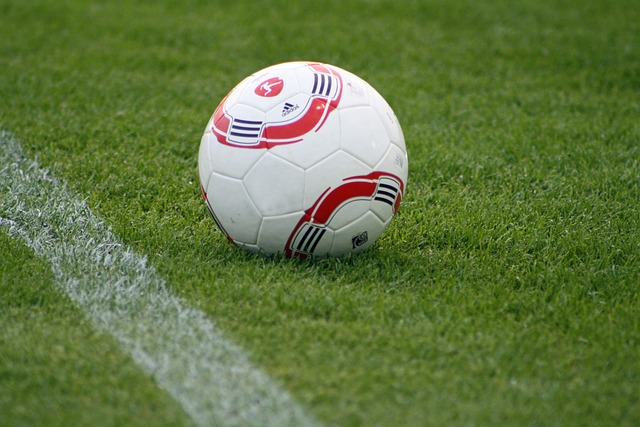 无论是在远 无论是在远