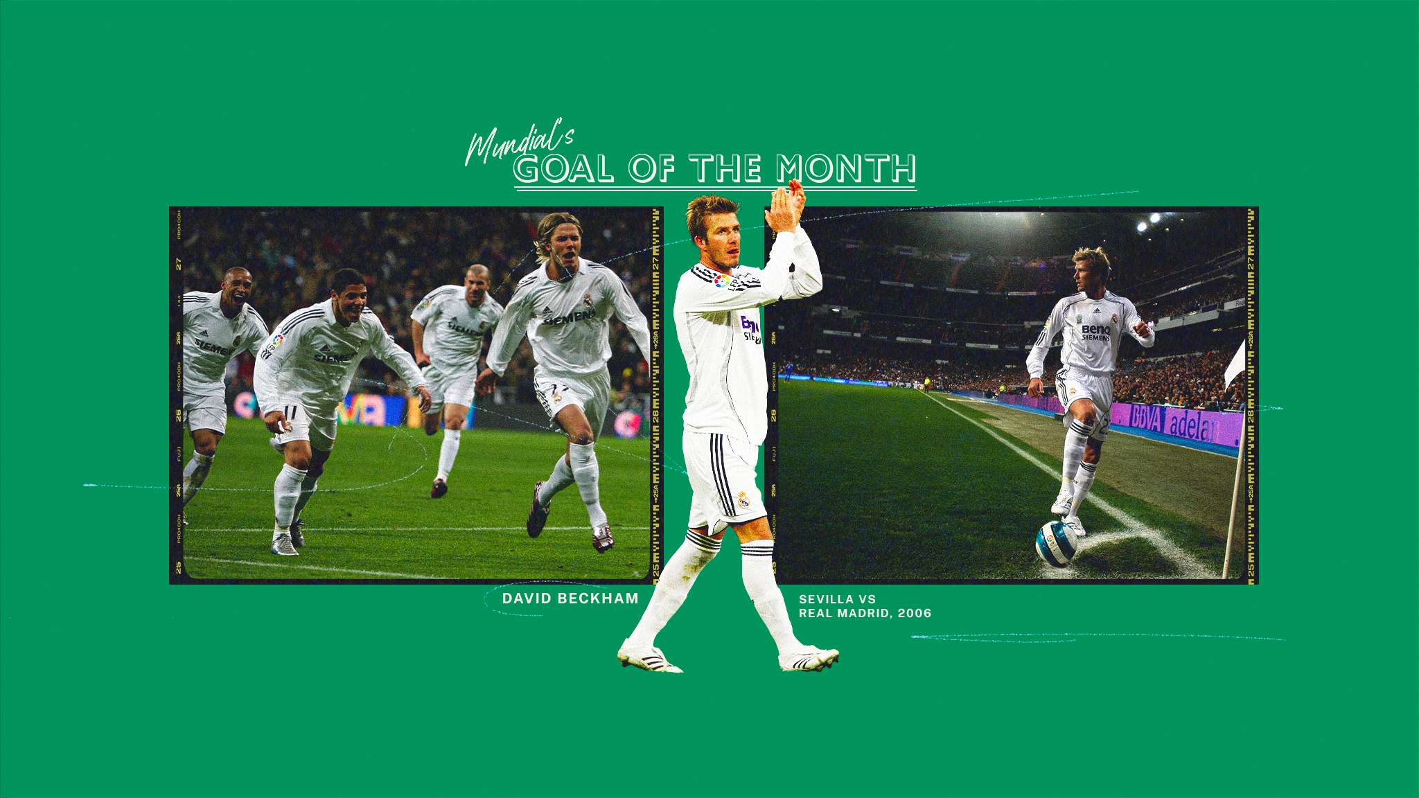 发酵成一个 发酵成一个